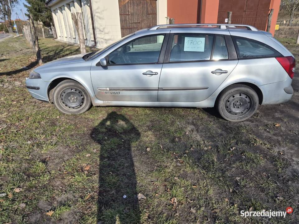 Tania laguna Kwidzyn