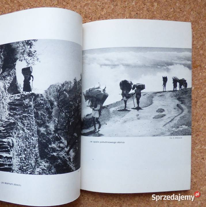 G Wróż Święta góra Sikkimu Zapiski z wyprawy geografia, geologia, turystyka Warszawa