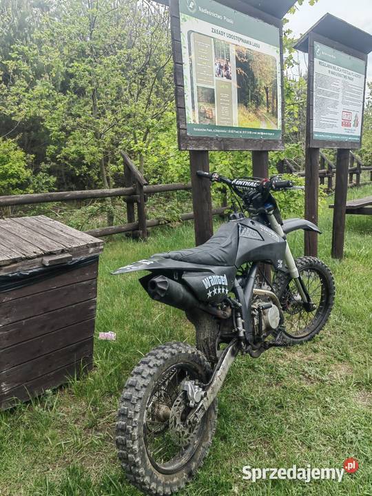 Cross RFZ 150cc manualna Małachowo