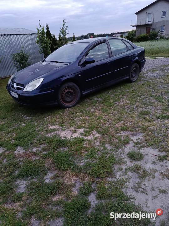 Citroen C5 Cyców