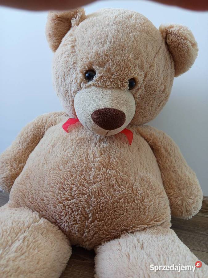 Duży pluszowy MIŚ Gdańsk