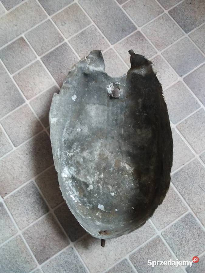 Pokrywa kapa magneta żak Ryś komar wielkopolskie Lisew