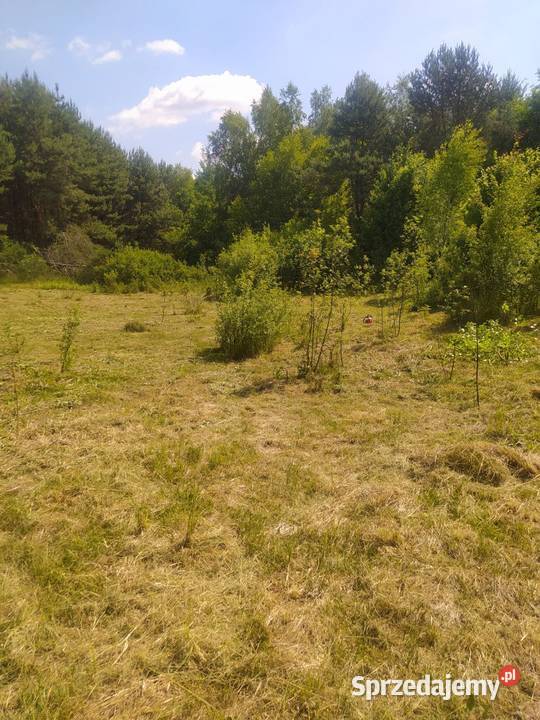 Działka budowlana z dostępem do jeziora Janopol