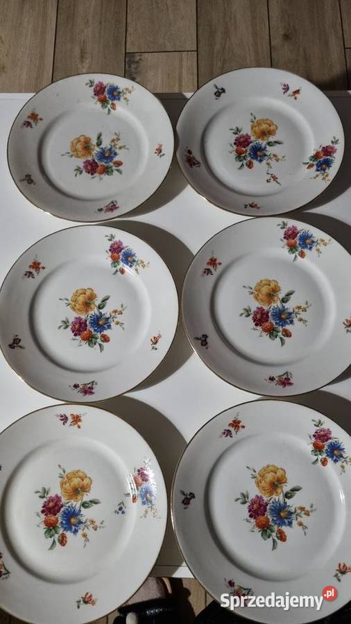 Talerze Płaskie Porcelana Francuska Limoges Wola Podłężna