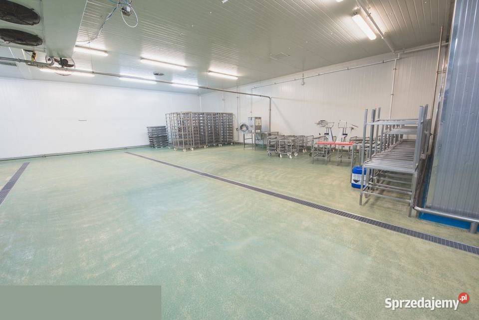 Hala produkcyjna z magazynami biurami i hotelem Czarnowice