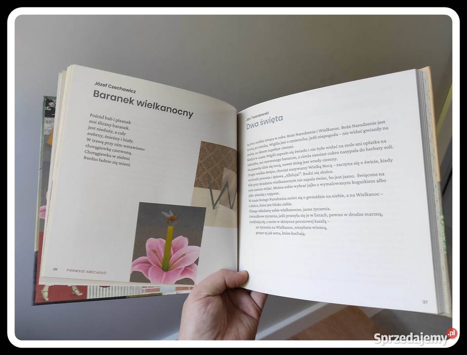 Pierwsze abecadło Instytut książki Książki dla dzieci mazowieckie Płock