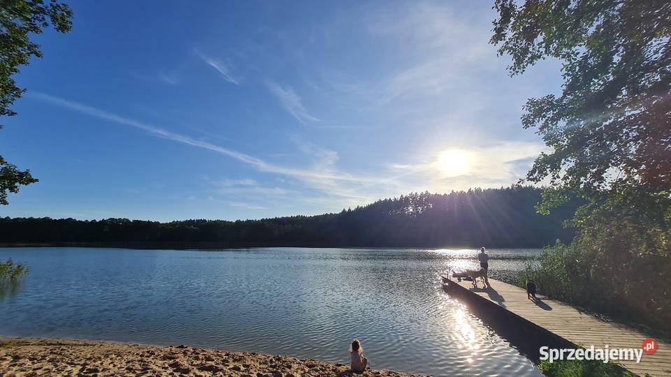 Działka 368 ara Mazury Grabowo 11700 Mrągowo 257zł/m2