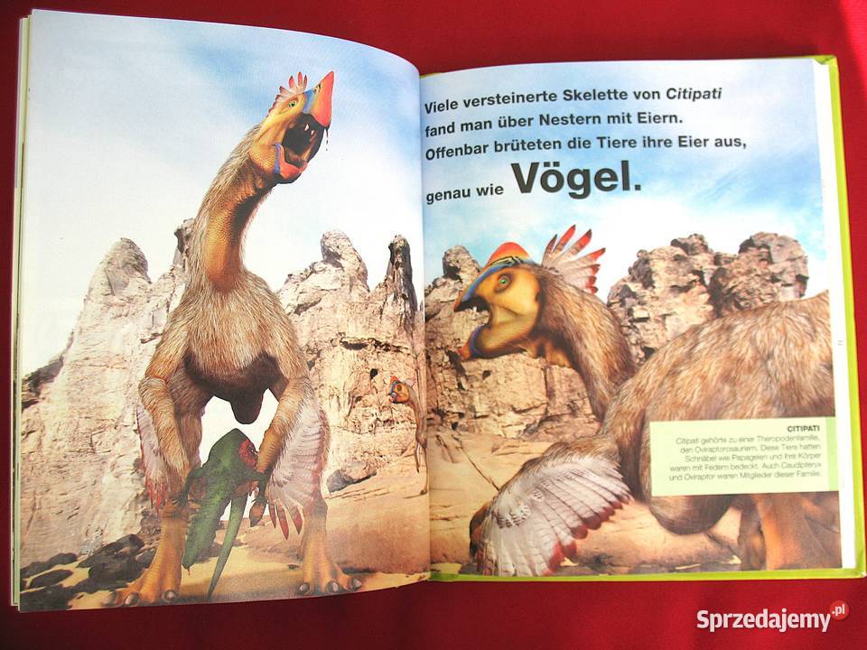 Dinosaurier Clever książka niemiecka Leksykon Rok wydania 2014