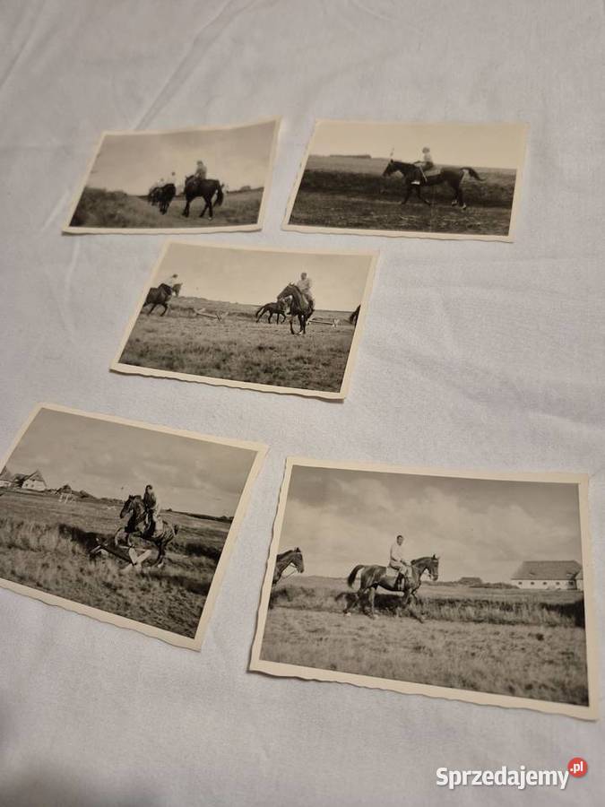 Fotografie Hermann Gring Reichsmarschall Brzesko