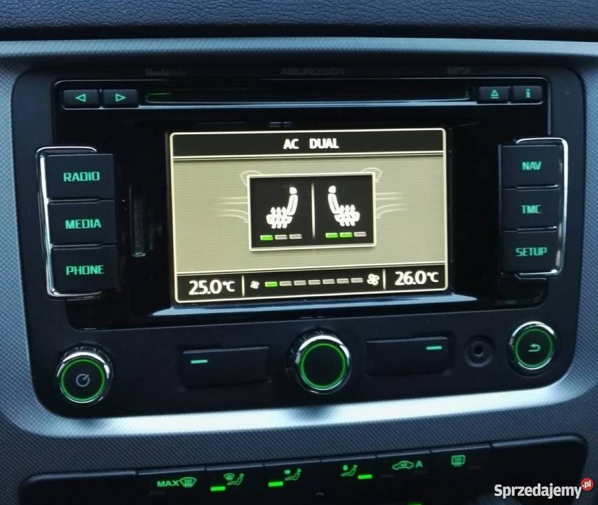Polskie Menu Lektor RNS 310 Volkswagen Skoda Dębica sprzedam