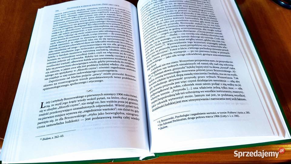 Filozofowie w świecie polityki 1 Eseje 19571974 Gdańsk