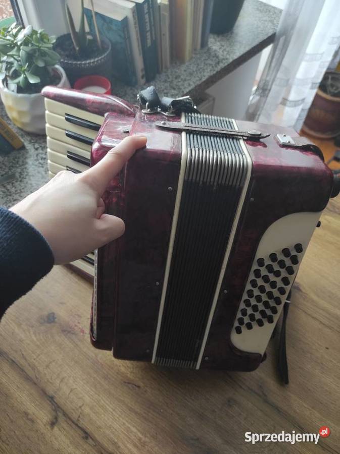 Akordeon Echo 32b stan do lekkich poprawek