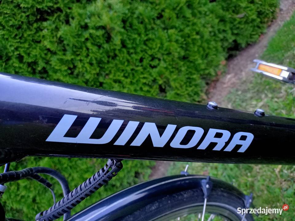 Rower Elektryczny Winora śląskie Lubomia