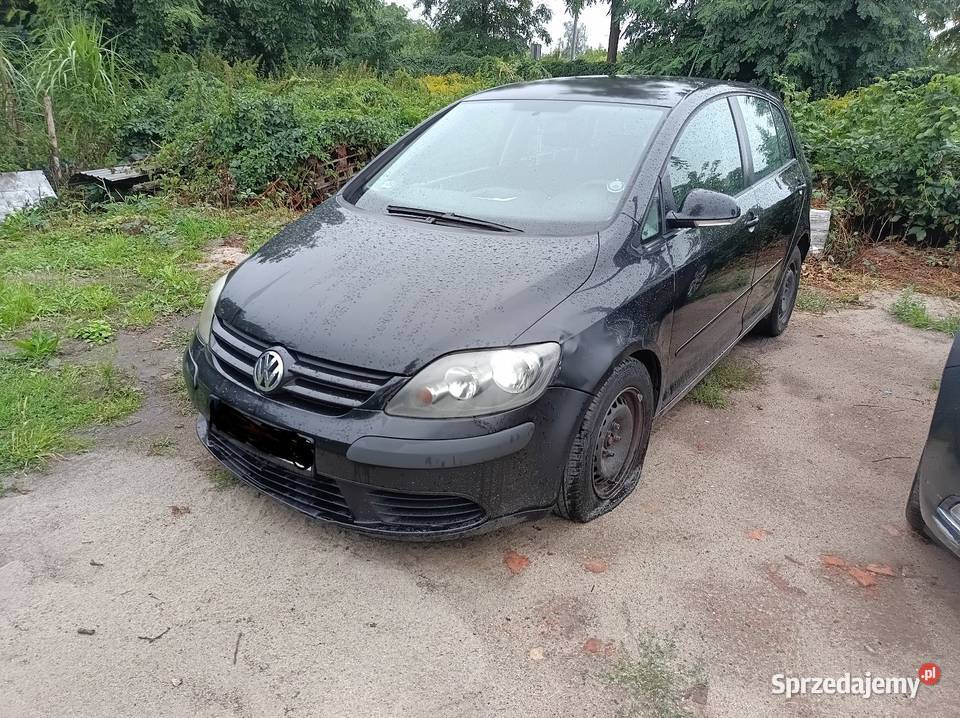 Golf 5 na części kupiony w Polsce Drezdenko