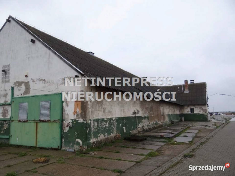 sprzedaży lokalu 6820m2 Poznań Sprzedaż