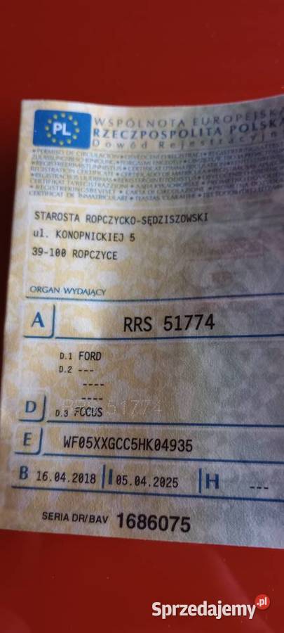 Ford Focus 16 B Trend podkarpackie Ocieka