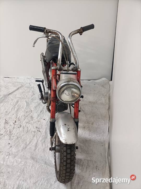 Honda Dax 50 oryginalny stan kujawsko-pomorskie Padniewko