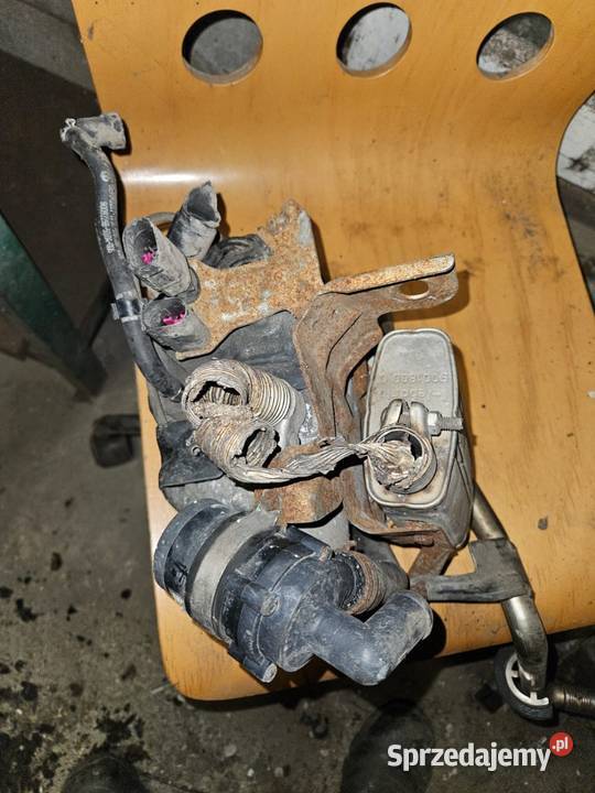 Webasta Grabów sprzedam