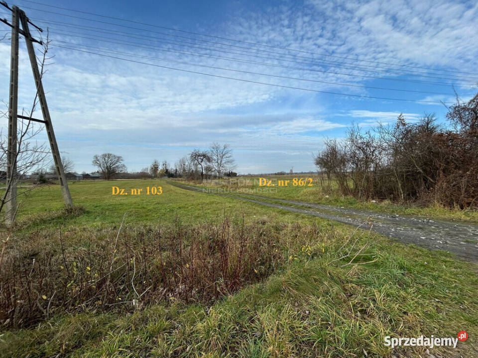 Dwie działki w Żukach rolna i pod zabudowę Żuki sprzedam
