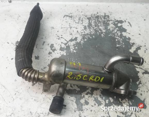 Chłodnica spalin Hyundai 25 CRDI 284804A450 świętokrzyskie Suchedniów