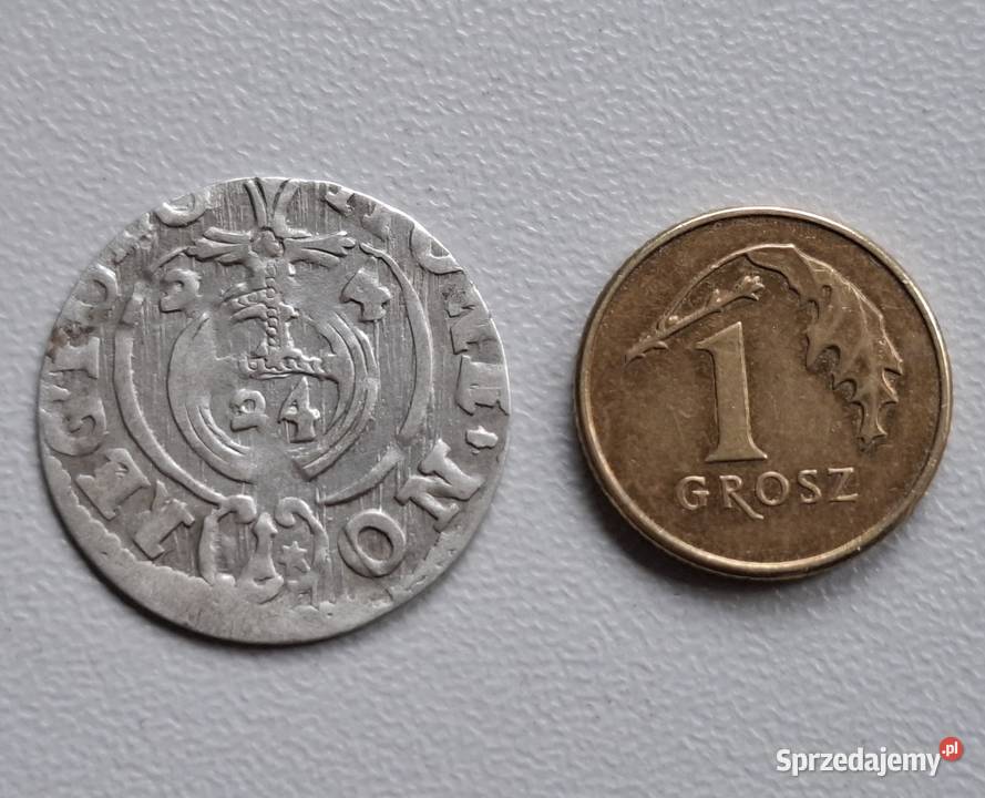 1 Półtorak Zygmunt III Waza Bydgoszcz 1624 Wejherowo