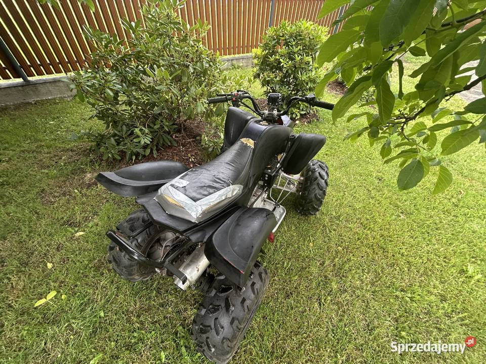 Sprzedam qada bashan 200 Grabów nad Pilicą