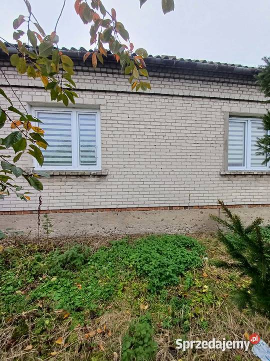 Sprzedam siedlisko z domem i budynkiem Białuty sprzedam