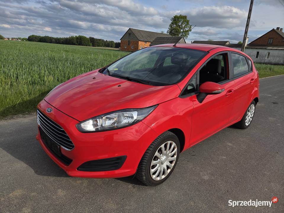 Ford Fiesta Turek
