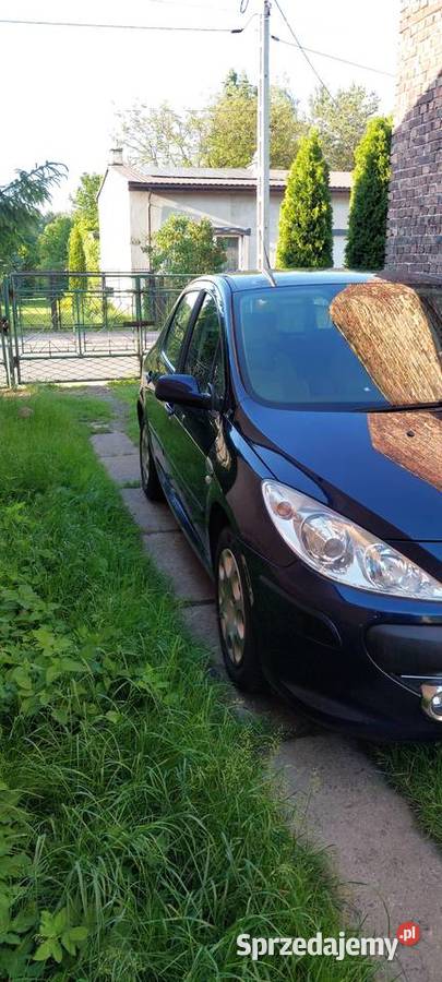 Sprzedam Peugeot 307 Dąbrowa Górnicza