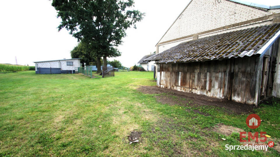 Lokal Jeńki 150m2 sprzedam