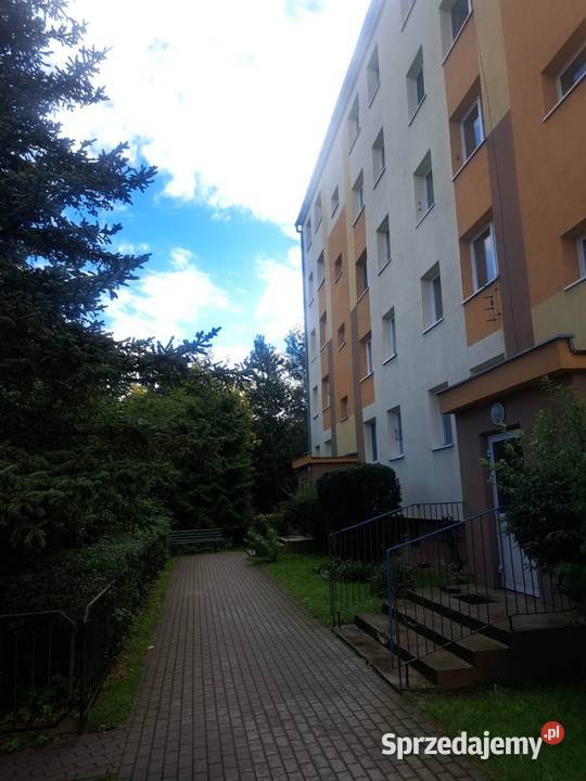 Mieszkanie w bloku dom nieruchomości Sprzedaż Mogilno