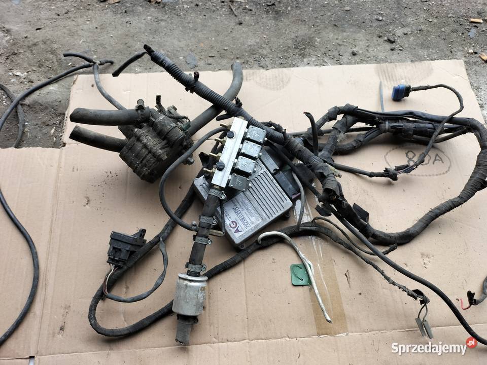 INSTALACJA GAZU LPG 4 CYLINDRY ZENIT STAG osobowe Kamień-Kolonia