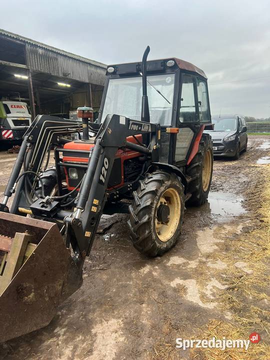 Zetor 5340 z ładowaczem Trac Lift 120 carraro Gizałki