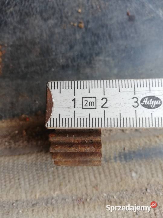 Koła zębate Dąbie