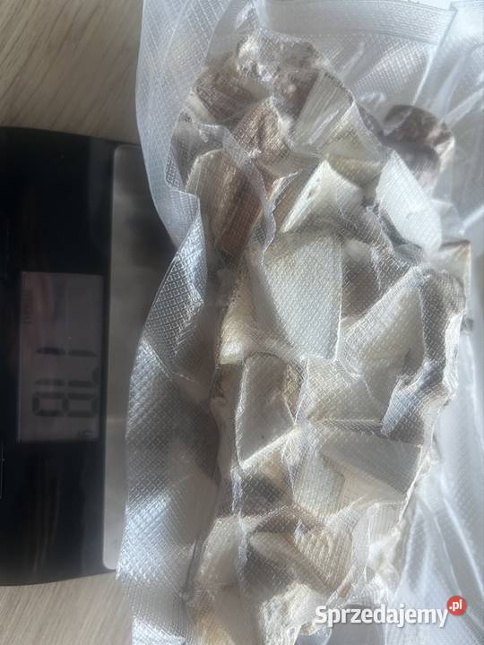 Białoporek brzozowy suszony 160g Gliwice