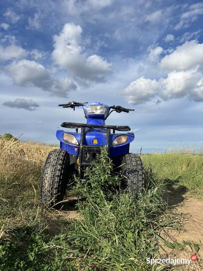 Quad eton 100 2t Rok produkcji 2000 Pałecznica
