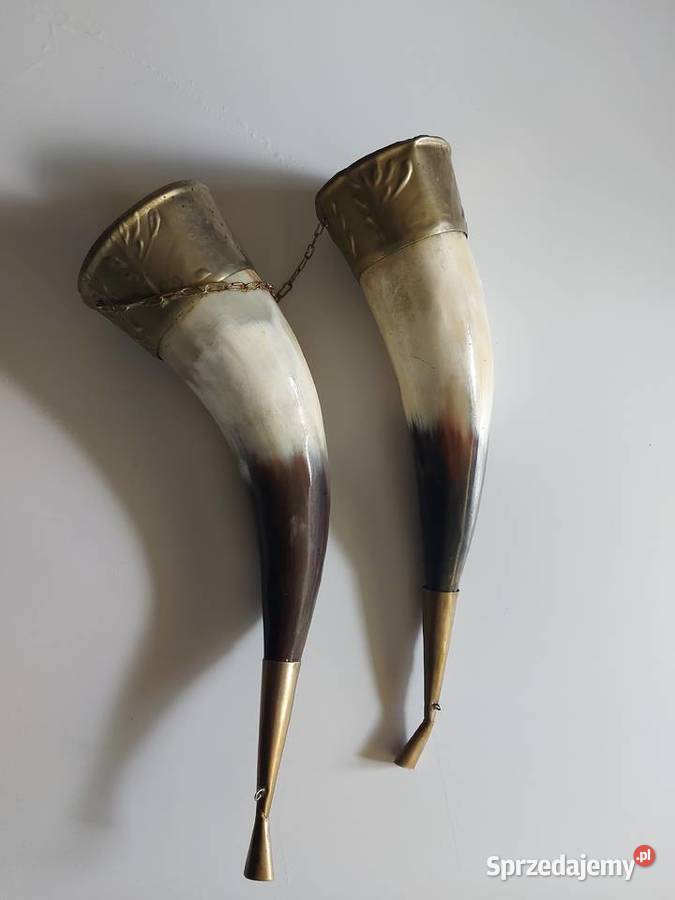 KIELISZKI Z ROGÓW GRUZIŃSKIE STARE zestaw 2 Warszawa