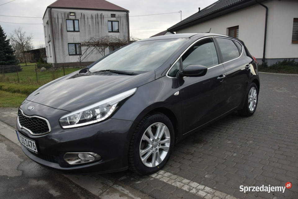 Kia Ceed 14B 107 Navi Kamera Led Oryginał Lakier podkarpackie Majdan Sieniawski