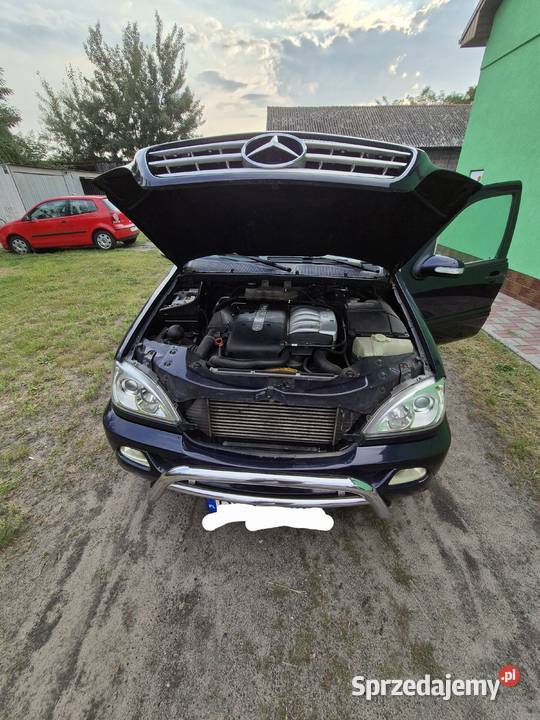 Mercedes ML270 CDI W163 2004 diesel Kalisz