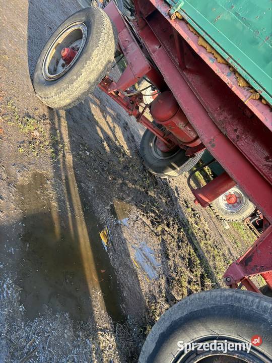 Przyczepa d47 nieuszkodzony Twardów