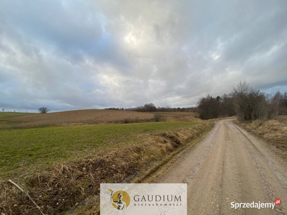 Działka w Pomieczyńskiej Hucie pomorskie Pomieczyńska Huta