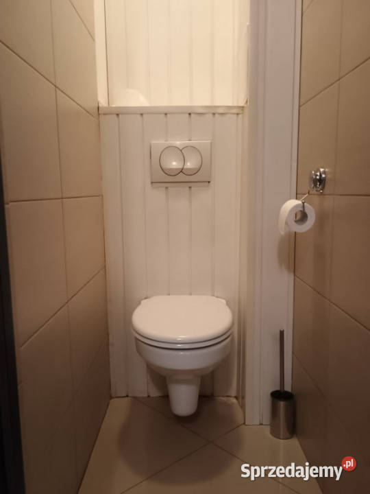 3 pokojowe w centrum z oddzielną kuchnią Szczecin
