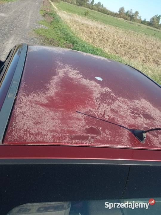 Opel Astra g bordowy Kanie-Stacja