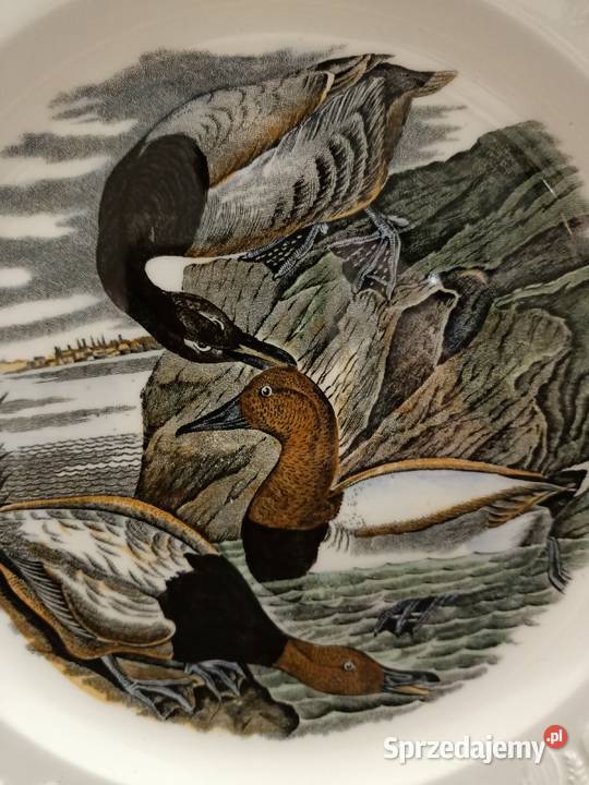 Talerz obiadowy burda America ilustra AUDUBONA Zamość