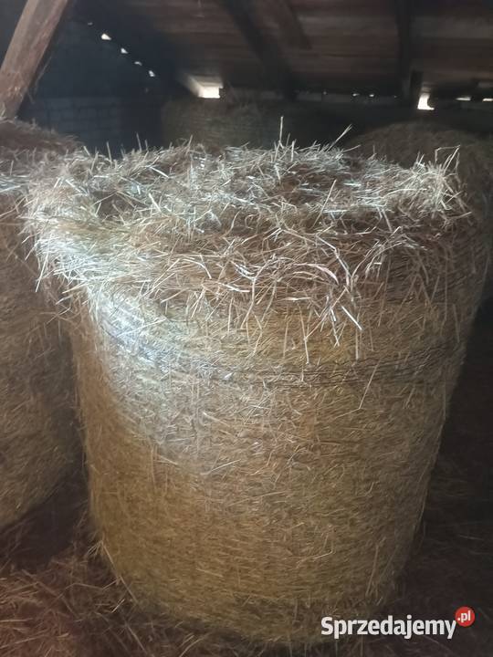 Sprzedam siano i słomę łódzkie