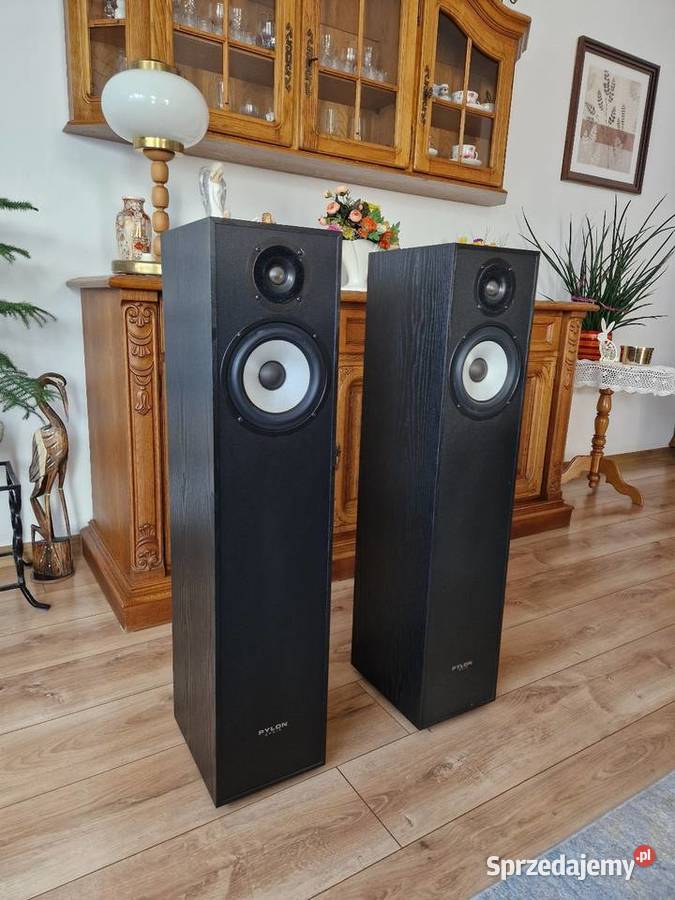 Kolumny Pylon Pearl 20 Para lubelskie Ryki