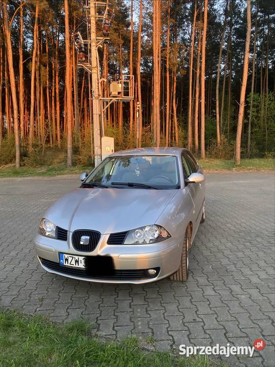 Seat Ibiza Puławy
