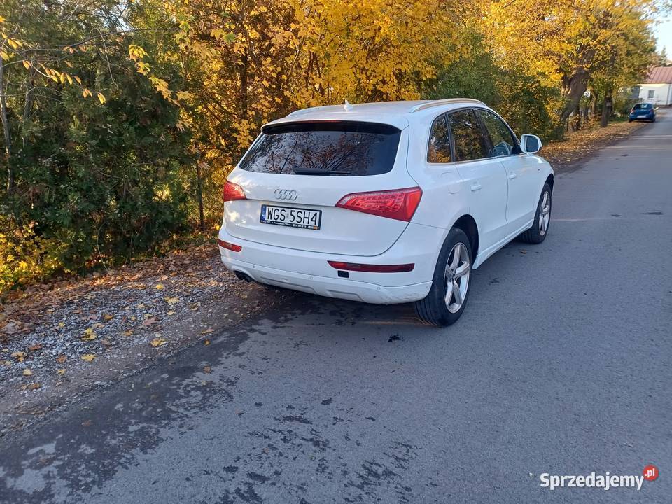 Audi Q5 Pacyna