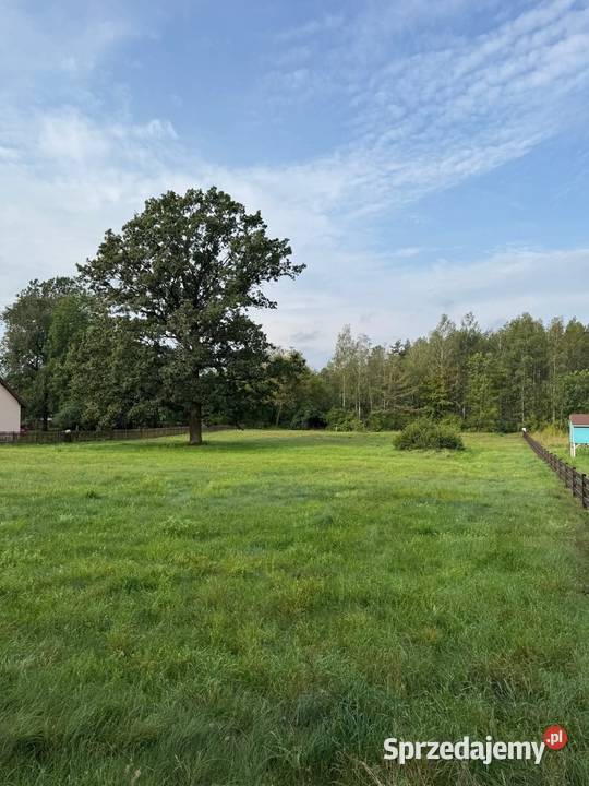 Działka budowlana o pow 3 499 m we wsi Jeże Sprzedaż