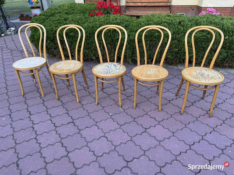 Krzesła gięte 5 Fameg do renowacji art deco Sulbiny